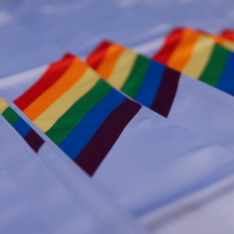 Rainbow flag on fabric for Lavendar graduation